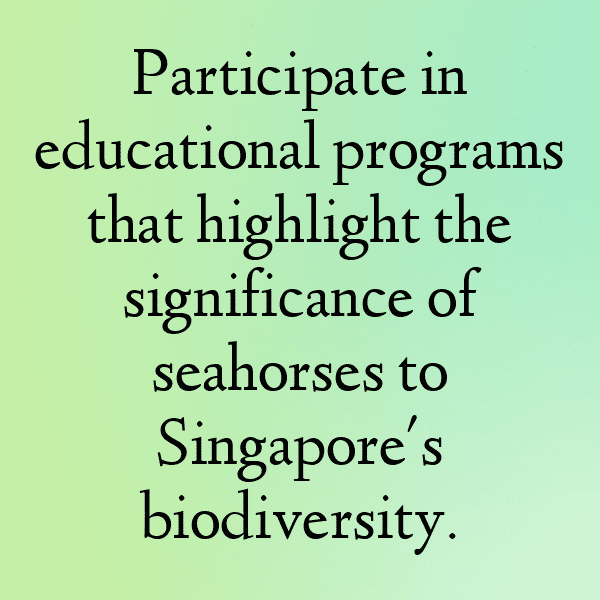 Seahorse Captions Image For Instagram-xKEW4v