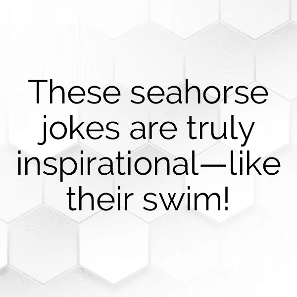 Seahorse Captions Photo For Instagram-UBBAFB