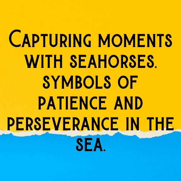 Seahorse Captions Photo For Instagram-vOXQnz