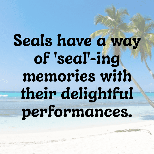 263+ Seal Captions For Instagram (Short, Trending & Viral) 6 Seal Captions Image For Instagram-DhMIQx