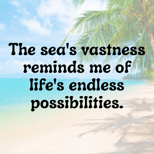 263+ Seal Captions For Instagram (Short, Trending & Viral) 8 Seal Captions Image For Instagram-JWdSpC