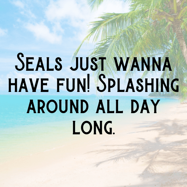 263+ Seal Captions For Instagram (Short, Trending & Viral) 5 Seal Captions Photo For Instagram-KpUIf3