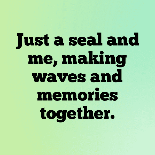 263+ Seal Captions For Instagram (Short, Trending & Viral) 4 Seal Captions Photo For Instagram-TIVzMM