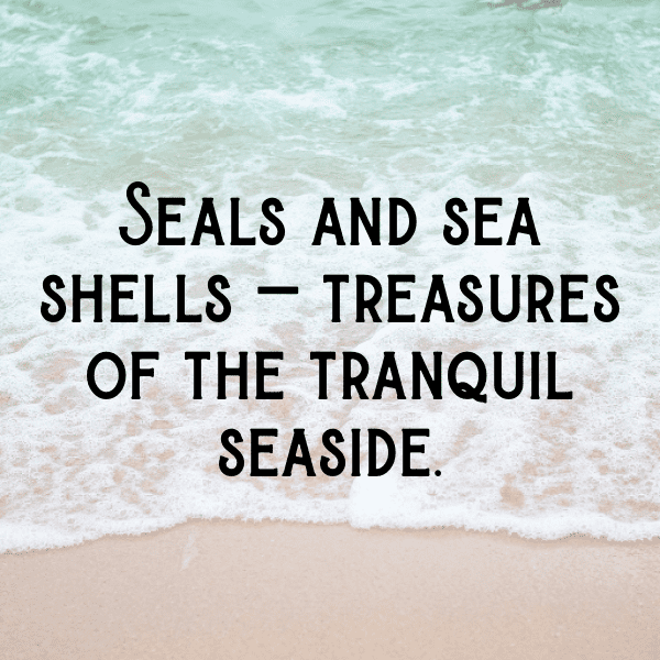 278+ Sealion Captions For Instagram (Short, Trending & Viral) 10 Sealion Captions Image For Instagram-3ruOV5