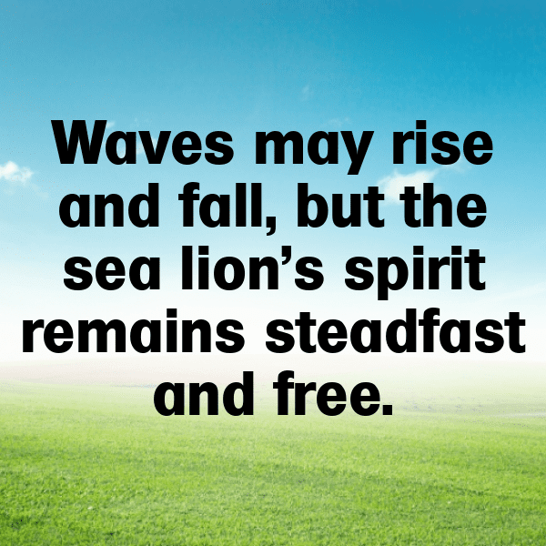 278+ Sealion Captions For Instagram (Short, Trending & Viral) 9 Sealion Captions Image For Instagram-DI8qyA