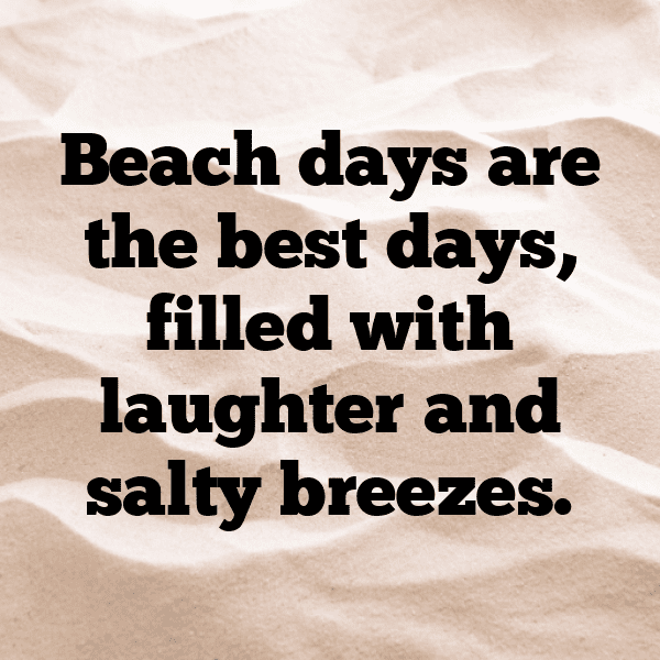 278+ Sealion Captions For Instagram (Short, Trending & Viral) 6 Sealion Captions Image For Instagram-pheHxV