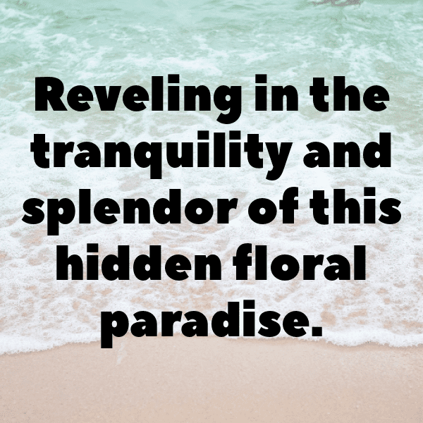 Secret Garden Captions Image for Instagram-C47yPU