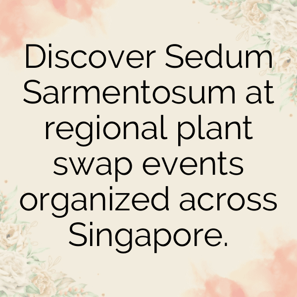 Sedum Captions Image For Instagram-exoTBo