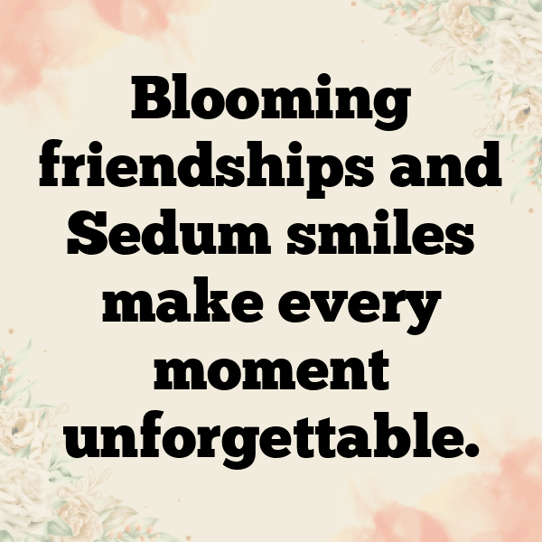 Sedum Captions Photo For Instagram-t8qTWE