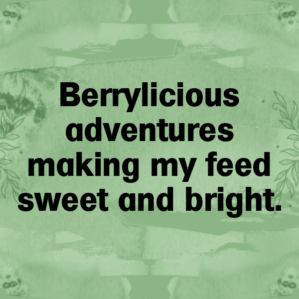 Serviceberry Captions Image For Instagram-S3sUpk