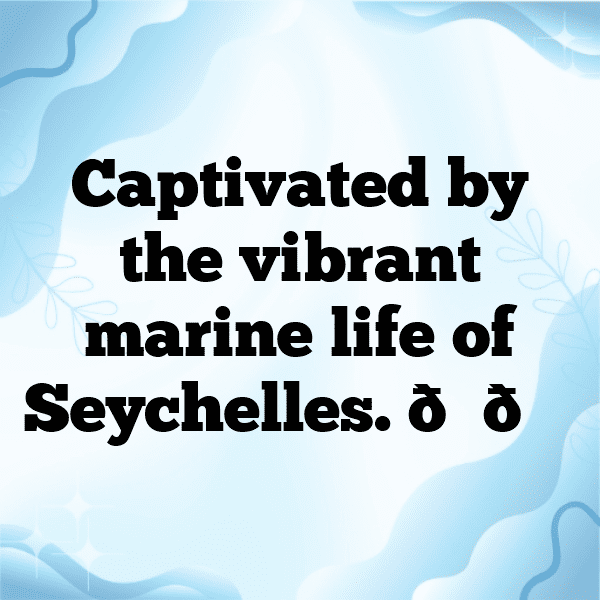 343+ Seychelles Captions For Instagram (Trending, Funny & Top) 4 Seychelles Captions Photo For Instagram-MEjQMC