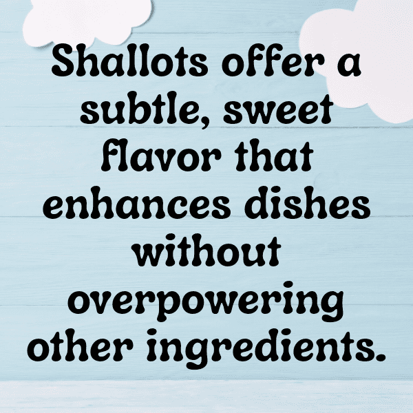 267+ Shallot Captions For Instagram (Trending, Funny & Top) 11 Shallot Captions Image For Instagram-OVKbth