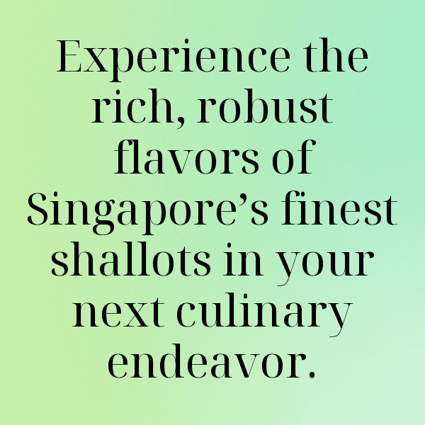 267+ Shallot Captions For Instagram (Trending, Funny & Top) 12 Shallot Captions Image For Instagram-sveLqU