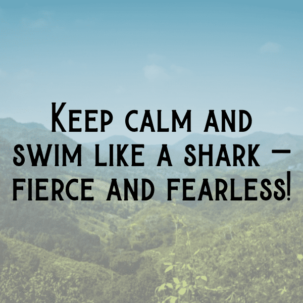 296+ Shark Captions For Instagram In 2025 5 Shark Captions Image For Instagram-1XrGVW