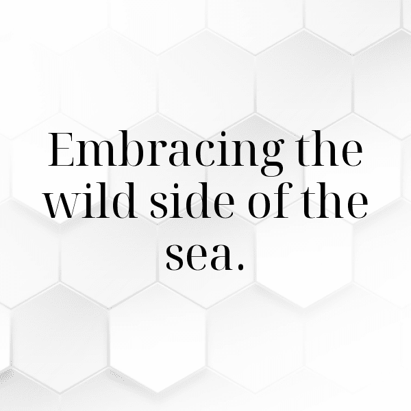 296+ Shark Captions For Instagram In 2025 6 Shark Captions Image For Instagram-5Y26op