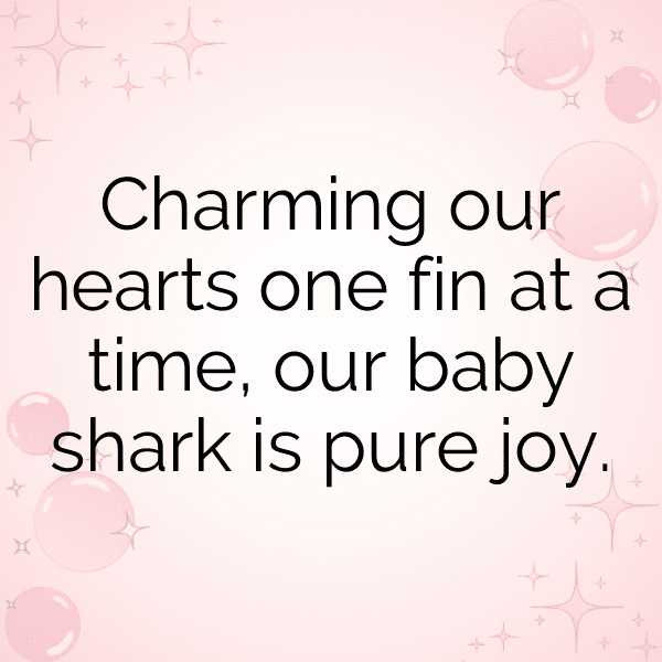296+ Shark Captions For Instagram In 2025 3 Shark Captions Image For Instagram-jc1HqX