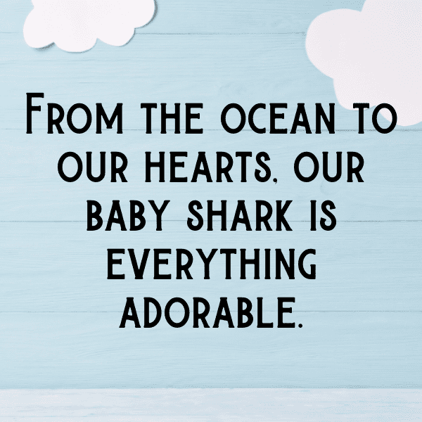 296+ Shark Captions For Instagram In 2025 11 Shark Captions Image For Instagram-tugB1M