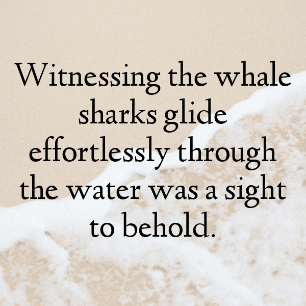 296+ Shark Captions For Instagram In 2025 8 Shark Captions Image For Instagram-XOTLKH