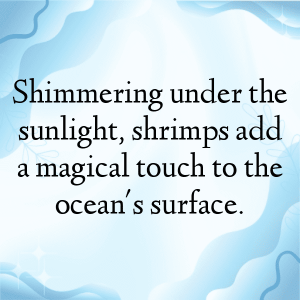 Shrimp Captions Photo For Instagram-PibmHW