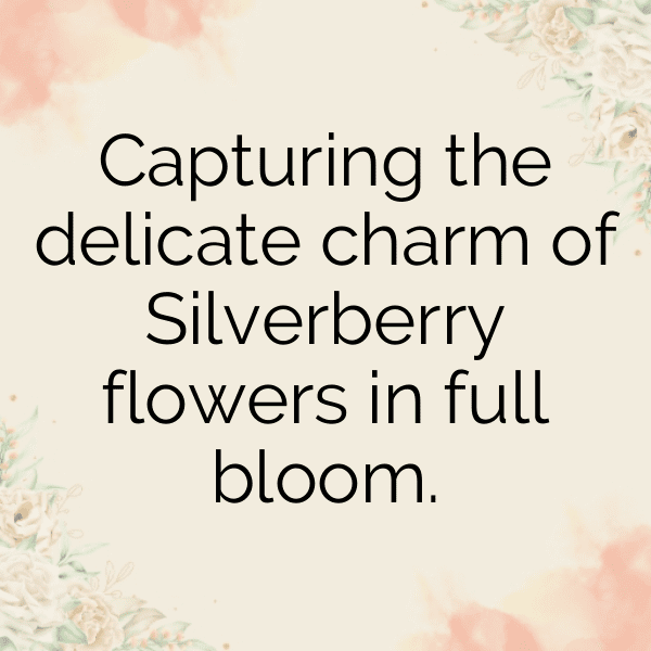 Silverberry Captions Photo For Instagram-3wAMkw