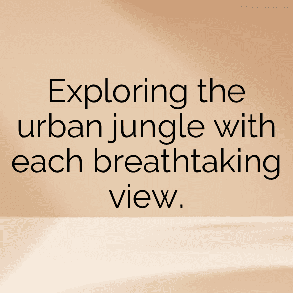 251+ SimCity Captions for Instagram (Fresh & Trendy) 6 SimCity Captions Photo for Instagram-0gOH91