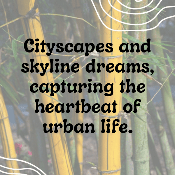 251+ SimCity Captions for Instagram (Fresh & Trendy) 8 SimCity Captions Photo for Instagram-IHJQA8