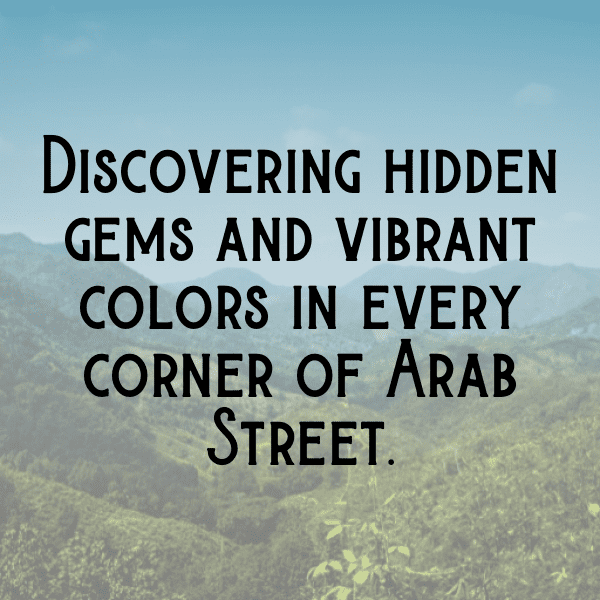 221+ Singapore Captions For Instagram (Best, Funny & Short) 9 Singapore Captions Image For Instagram-aEh64H