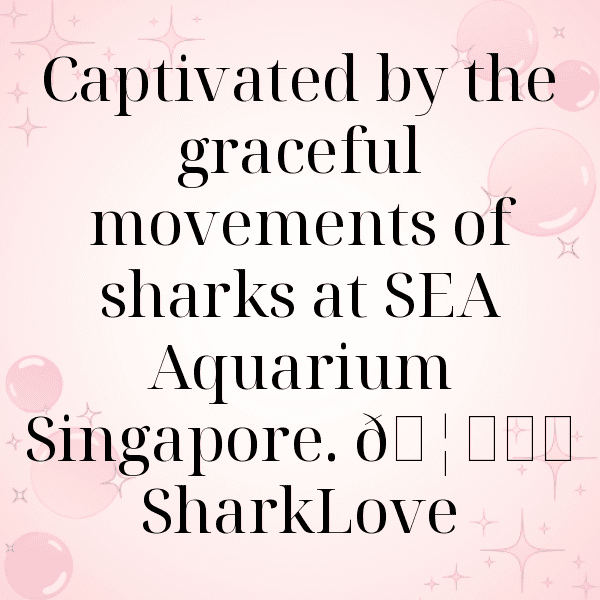 221+ Singapore Captions For Instagram (Best, Funny & Short) 11 Singapore Captions Photo For Instagram-KCq1Hr