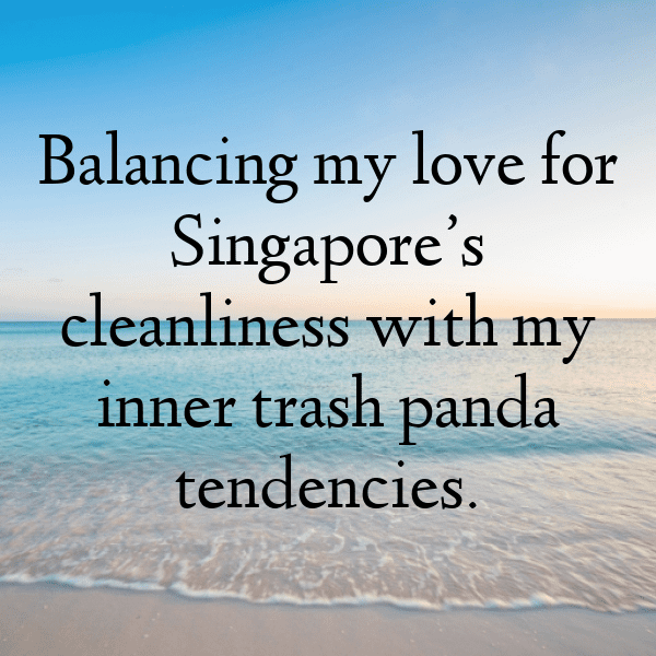 221+ Singapore Captions For Instagram (Best, Funny & Short) 6 Singapore Captions Photo For Instagram-v37wqY