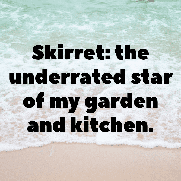 Skirret Captions Image For Instagram-a65LEL