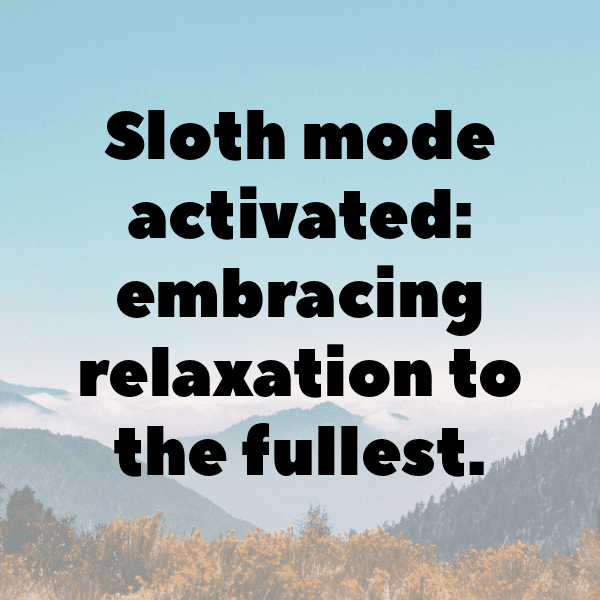 261+ Sloth Captions For Instagram (Short, Trending & Viral) 16 Sloth Captions Image For Instagram-FXRbHj