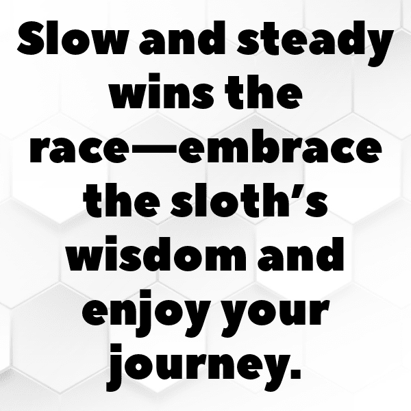 261+ Sloth Captions For Instagram (Short, Trending & Viral) 17 Sloth Captions Image For Instagram-MwVVVO