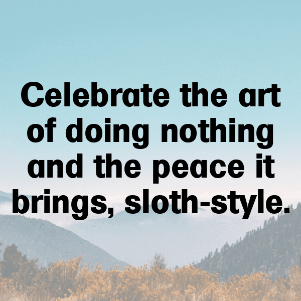 261+ Sloth Captions For Instagram (Short, Trending & Viral) 19 Sloth Captions Image For Instagram-NLXXbT