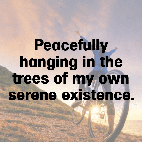 261+ Sloth Captions For Instagram (Short, Trending & Viral) 18 Sloth Captions Image For Instagram-YG6YcZ