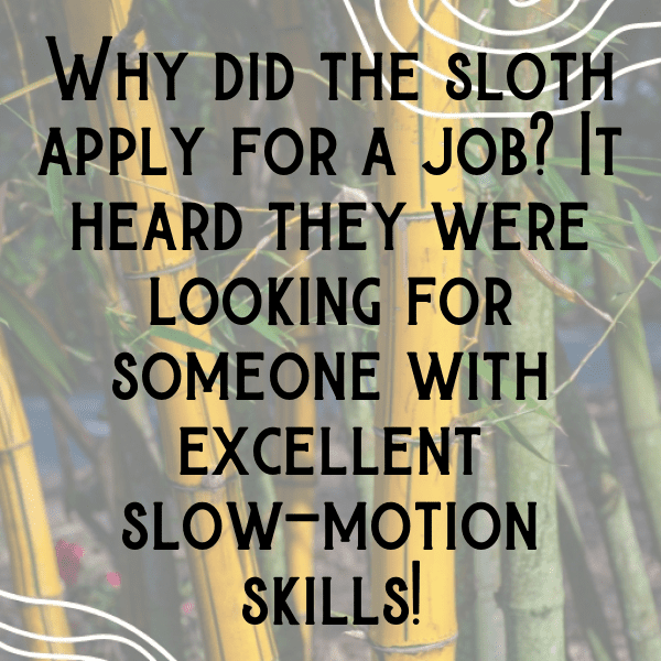 261+ Sloth Captions For Instagram (Short, Trending & Viral) 9 Sloth Captions Image For Instagram-ZOwEfO