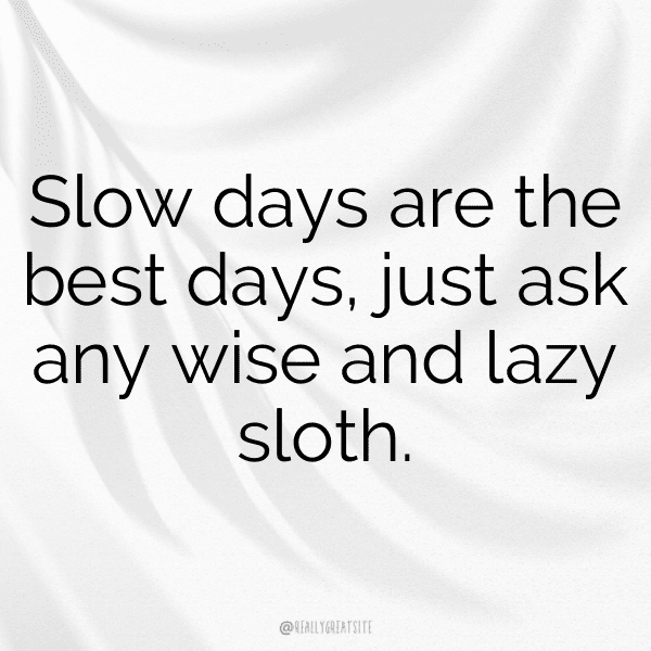 261+ Sloth Captions For Instagram (Short, Trending & Viral) 15 Sloth Captions Photo For Instagram-FFE1Ht