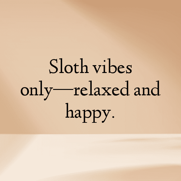 261+ Sloth Captions For Instagram (Short, Trending & Viral) 21 Sloth Captions Photo For Instagram-Mmw3HO