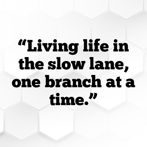 261+ Sloth Captions For Instagram (Short, Trending & Viral) 7 Sloth Captions Photo For Instagram-nJ1tbp