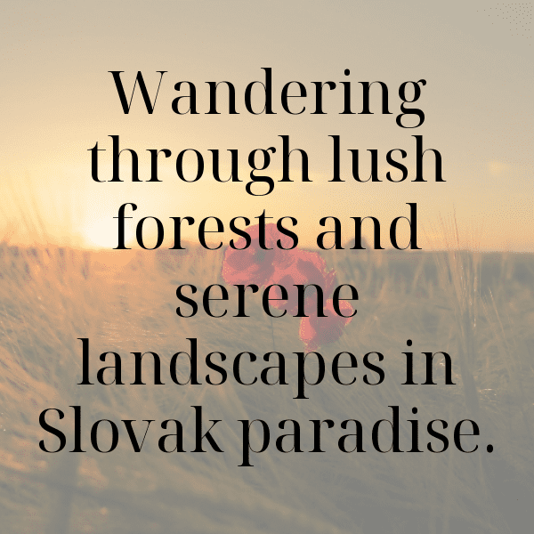 Slovakia Captions Image For Instagram-KrfMaT