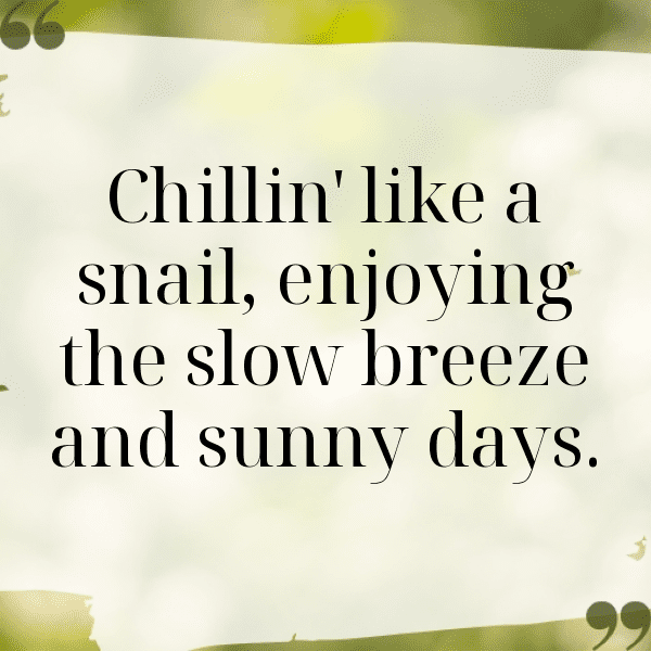 Snail Captions Image For Instagram-PVLSOs