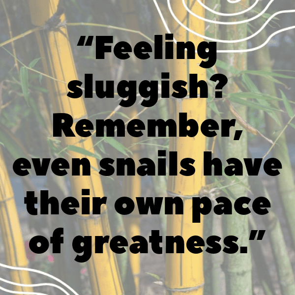 Snail Captions Photo For Instagram-4dMCMP