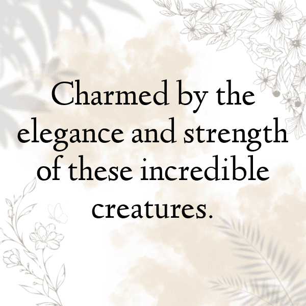 Snake Captions Image For Instagram-mCFuAh