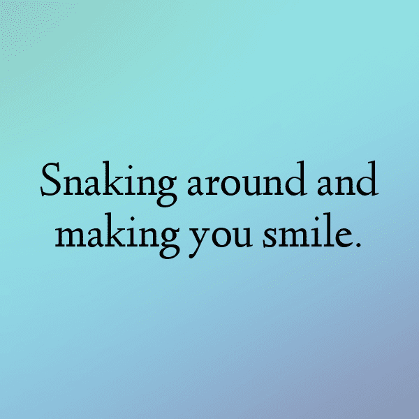 Snake Captions Photo For Instagram-NfCN2A