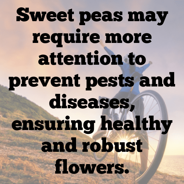 Snow Pea Captions Photo For Instagram-u6wrA8