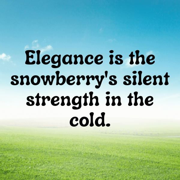 Snowberry Captions Image For Instagram-ATWrQu