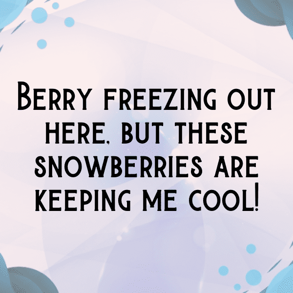 Snowberry Captions Image For Instagram-FVMflp
