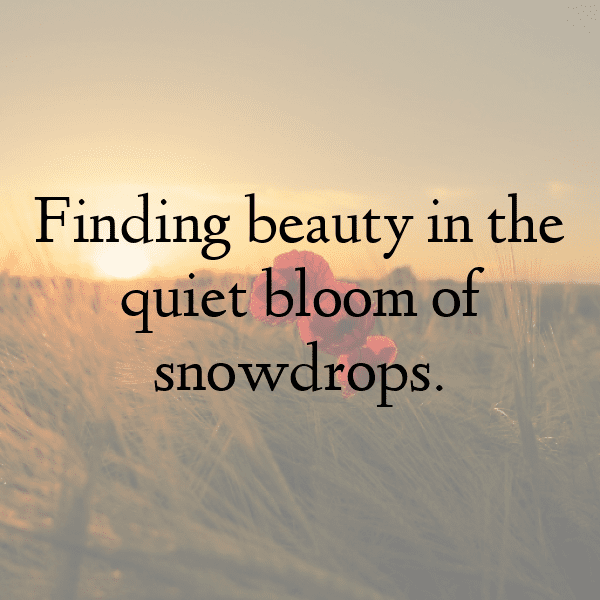 261+ Snowdrop Captions For Instagram In 2025 4 Snowdrop Captions Image For Instagram-8hASku