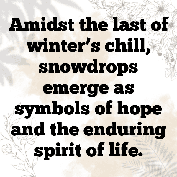 261+ Snowdrop Captions For Instagram In 2025 15 Snowdrop Captions Image For Instagram-XbE2h5