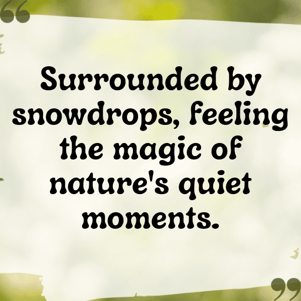 261+ Snowdrop Captions For Instagram In 2025 6 Snowdrop Captions Image For Instagram-zDIPWj