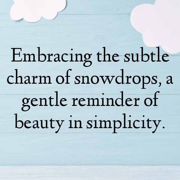 261+ Snowdrop Captions For Instagram In 2025 13 Snowdrop Captions Photo For Instagram-fJcnIj